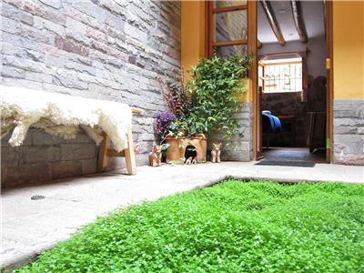 Picaflor Tambo Bed and breakfast
